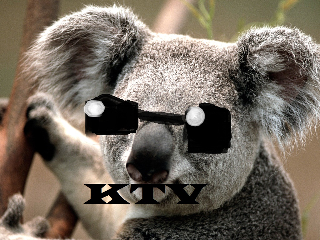 14-й канал (галич 14)