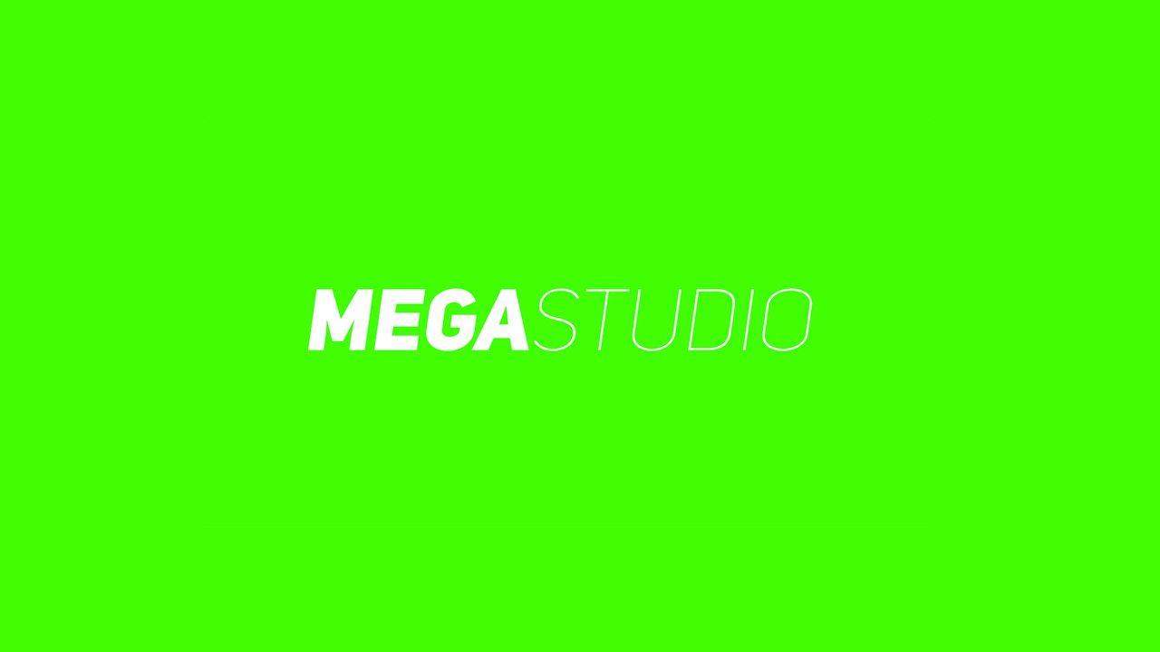 MegaStudio International