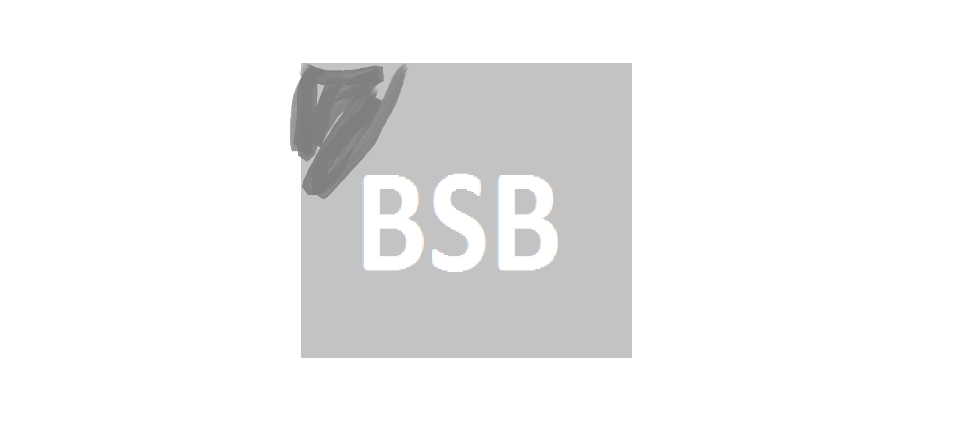 BSB (Block Strike Belarus)