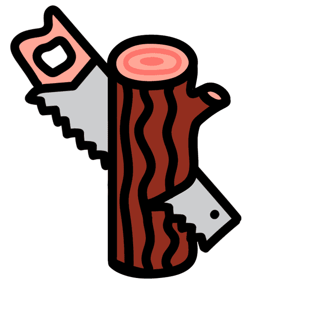 ПЕНЬ-ТВ Internet