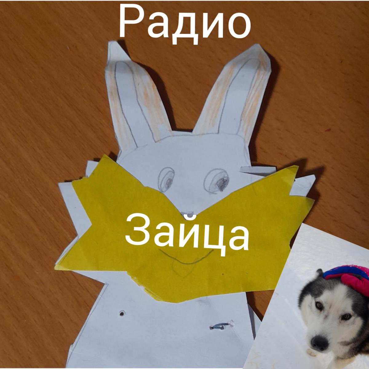 Радио Зайца