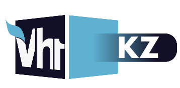 MTV KZ