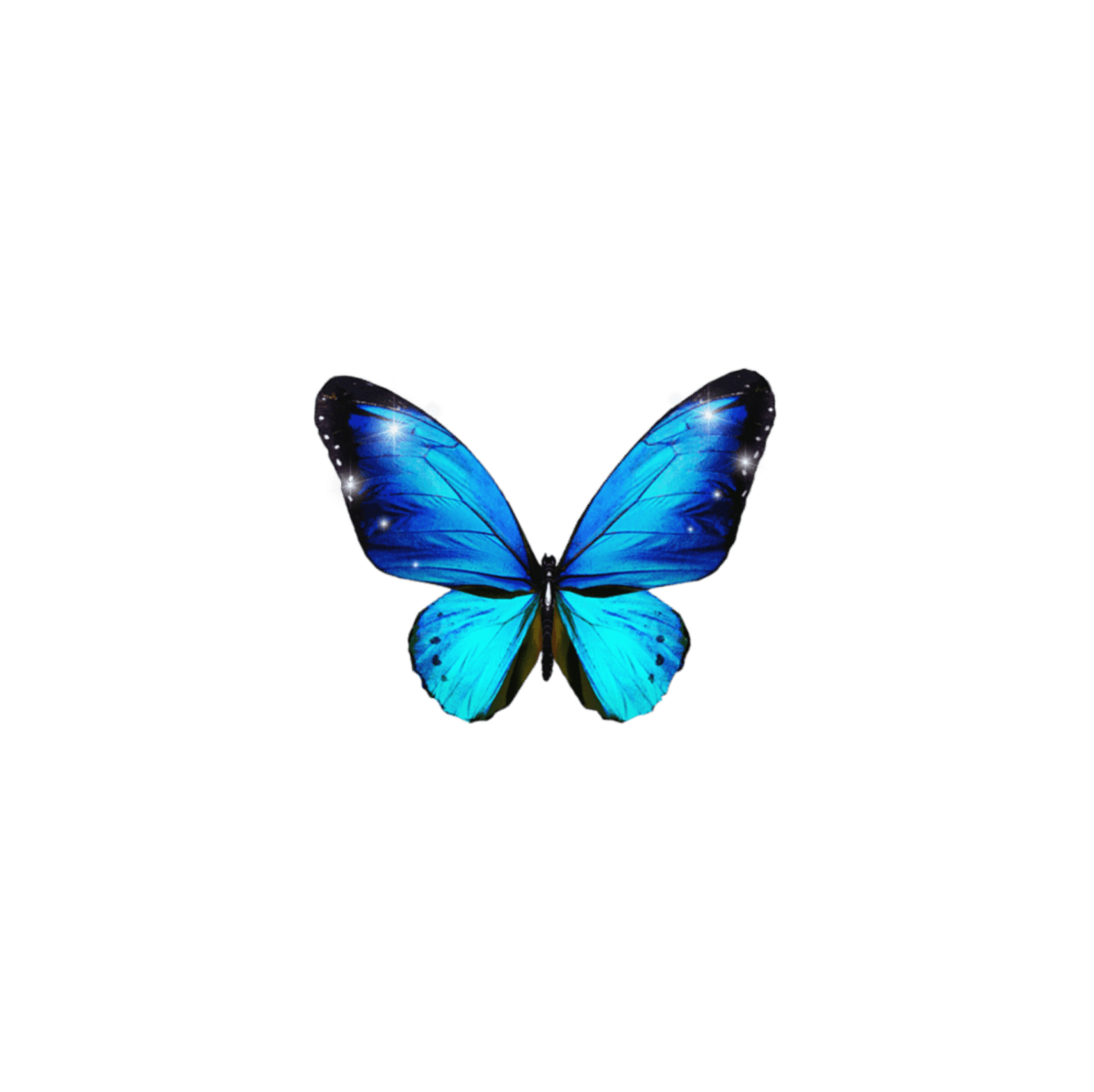 Ice TV