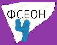 ФСЕОН 4