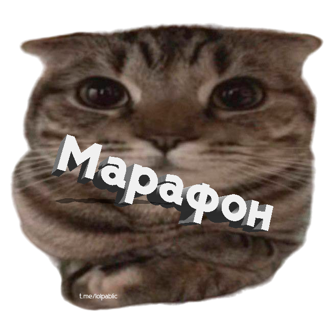 WCM-Марафон