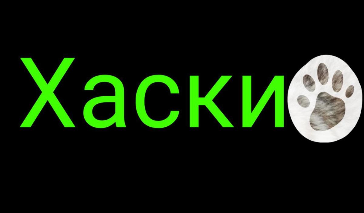 Телеканал Хаски